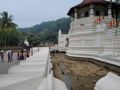 Канди